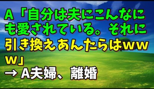 【スカッとひろゆき】A「自分は夫にこんなにも愛されている。それに引き換えあんたらはｗｗｗ」 → A夫婦、離婚