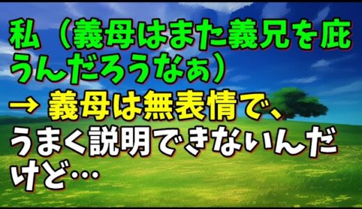【スカッとひろゆき】私（義母はまた義兄を庇うんだろうなぁ） → 義母は無表情で、うまく説明できないんだけど…
