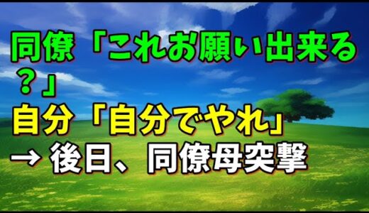 【スカッとひろゆき】同僚「これお願い出来る？」 自分「自分でやれ」 → 後日、同僚母突撃