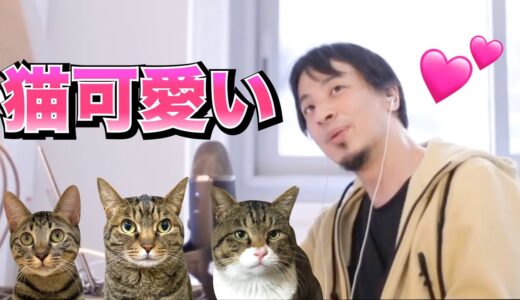 楽しそうに猫の魅力を語るひろゆきさんがこちら…