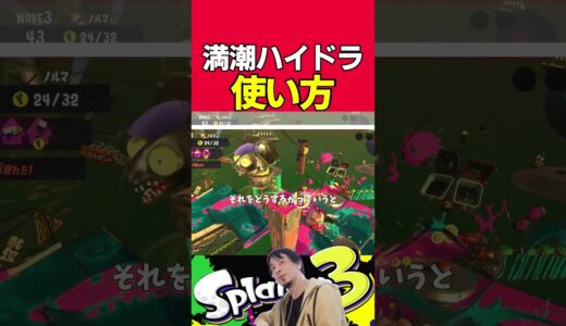 満潮ハイドラの使い方を教えるひろゆき #Splatoon3　#スプラトゥーン３　#サーモンラン