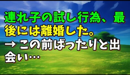 【スカッとひろゆき】連れ子の試し行為、最後には離婚した。 → この前ばったりと出会い…