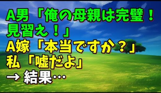 【スカッとひろゆき】A男「俺の母親は完璧！見習え！」 A嫁「本当ですか？」 私「嘘だよ」 → 結果…