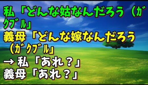 【スカッとひろゆき】私「どんな姑なんだろう（ｶﾞｸﾌﾞﾙ」 義母「どんな嫁なんだろう（ｶﾞｸﾌﾞﾙ」 → 私「あれ？」 義母「あれ？」