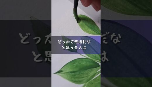 できると思い続けてやったやつしか成功してません　#ひろゆき　#名言　#名言集