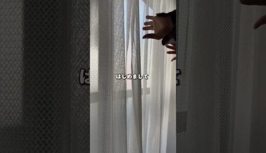 はじめまして。現在失恋して恋に悩んでいるひろゆきです。独身、彼女なしニートの孤独感と向き合う方法を模索中。 #アラサー独身